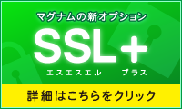 SSLオプション始めました